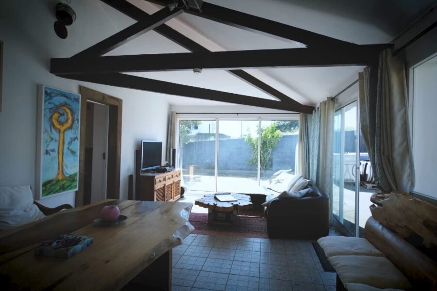 avocadotreestudios-3