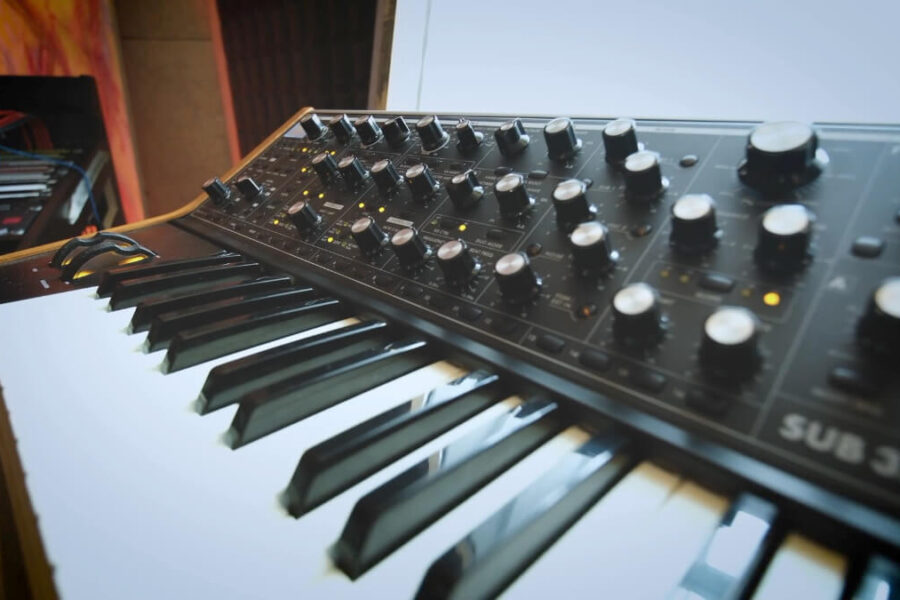 avocadotreestudios-5